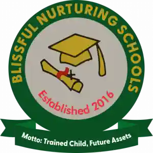 Blissful Nurturing Schools logo