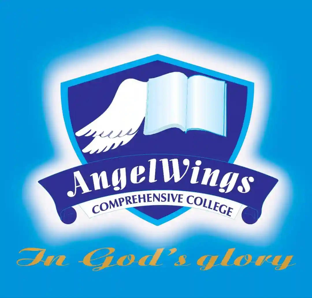 AngelWings Comprehensive College logo