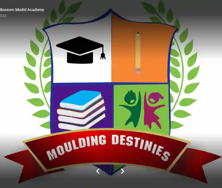 Lily Blossom Model Academy logo