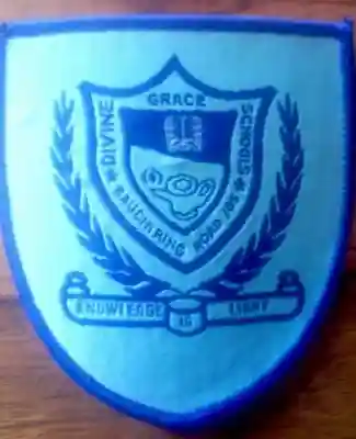 Divine Grace School, Jos logo