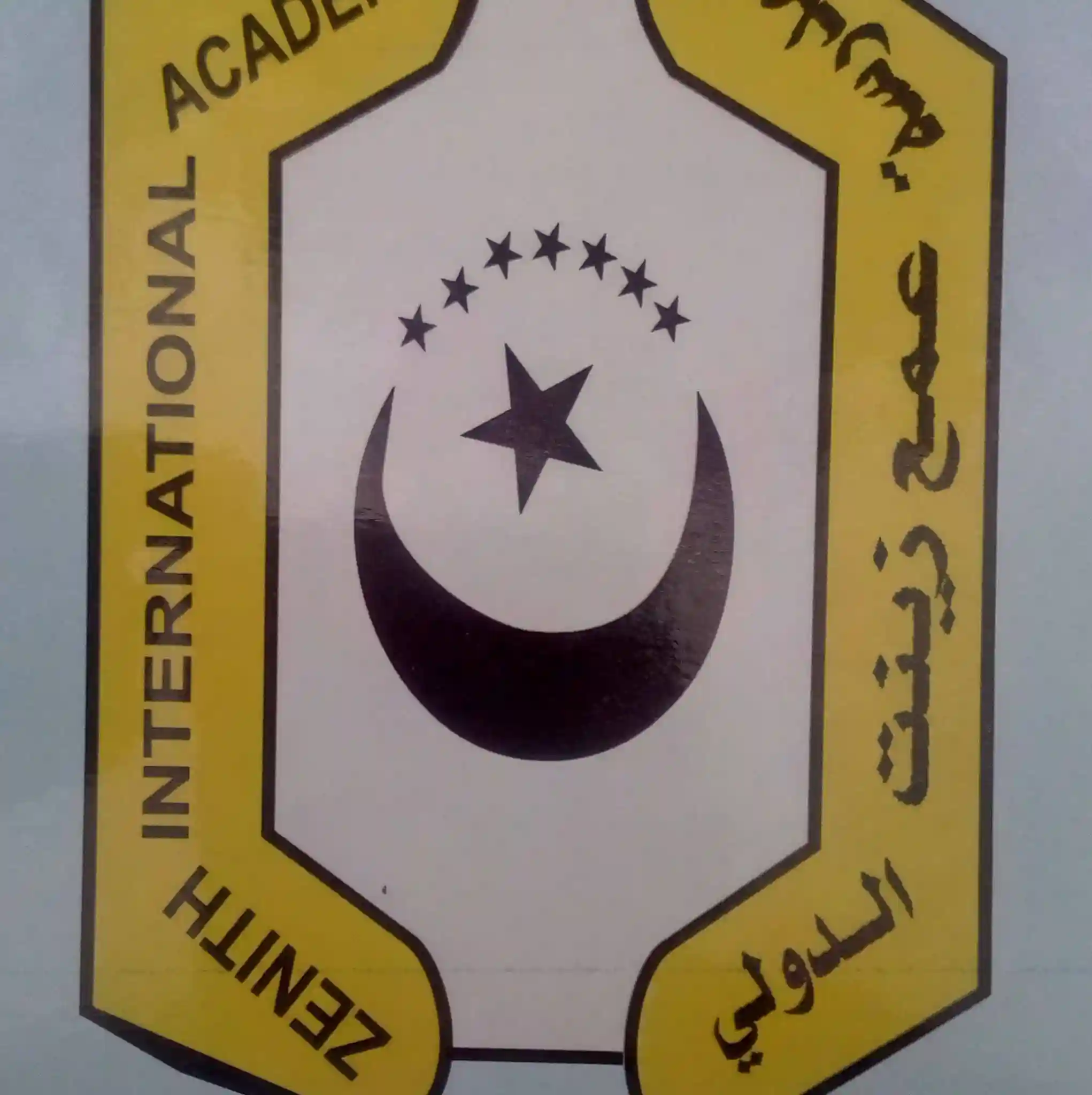 Zenith International Academy, Maiduguri logo