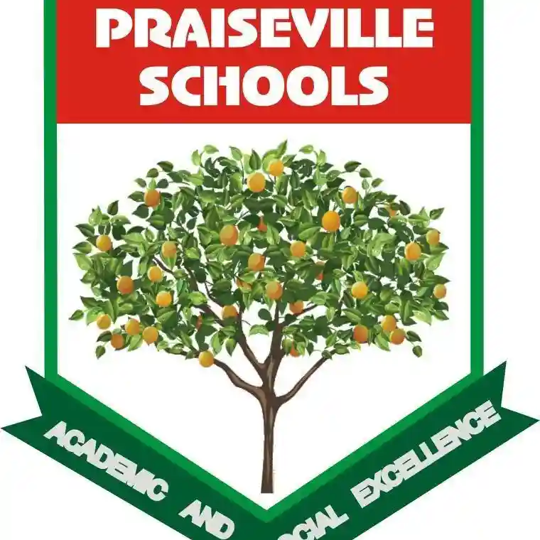 Praiseville Schools, Matogun logo