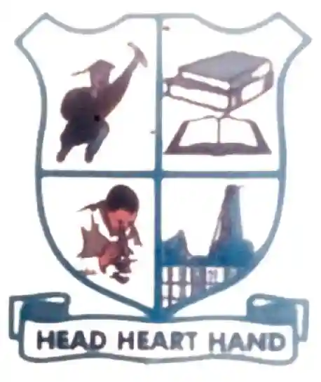 Bright Future Schools Yola logo