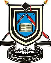 Midas Golden Academy logo