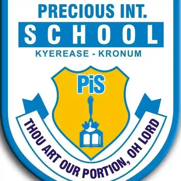 Precious International School, Kumasi logo