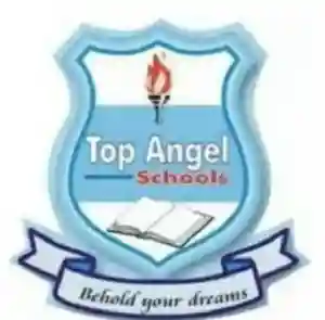 Top Angel Schools logo
