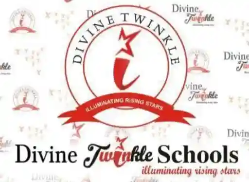 Divine Twinkle School logo