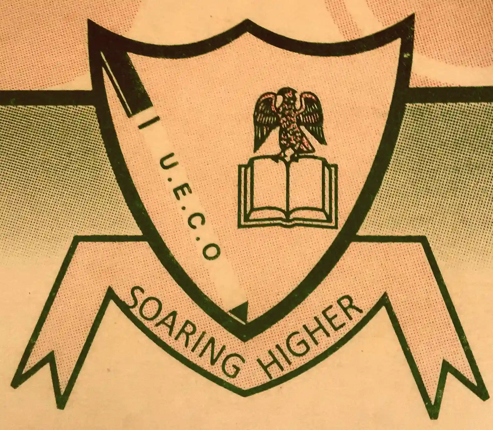 Unique Eagle College logo