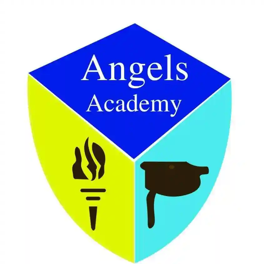 Angels Academy logo