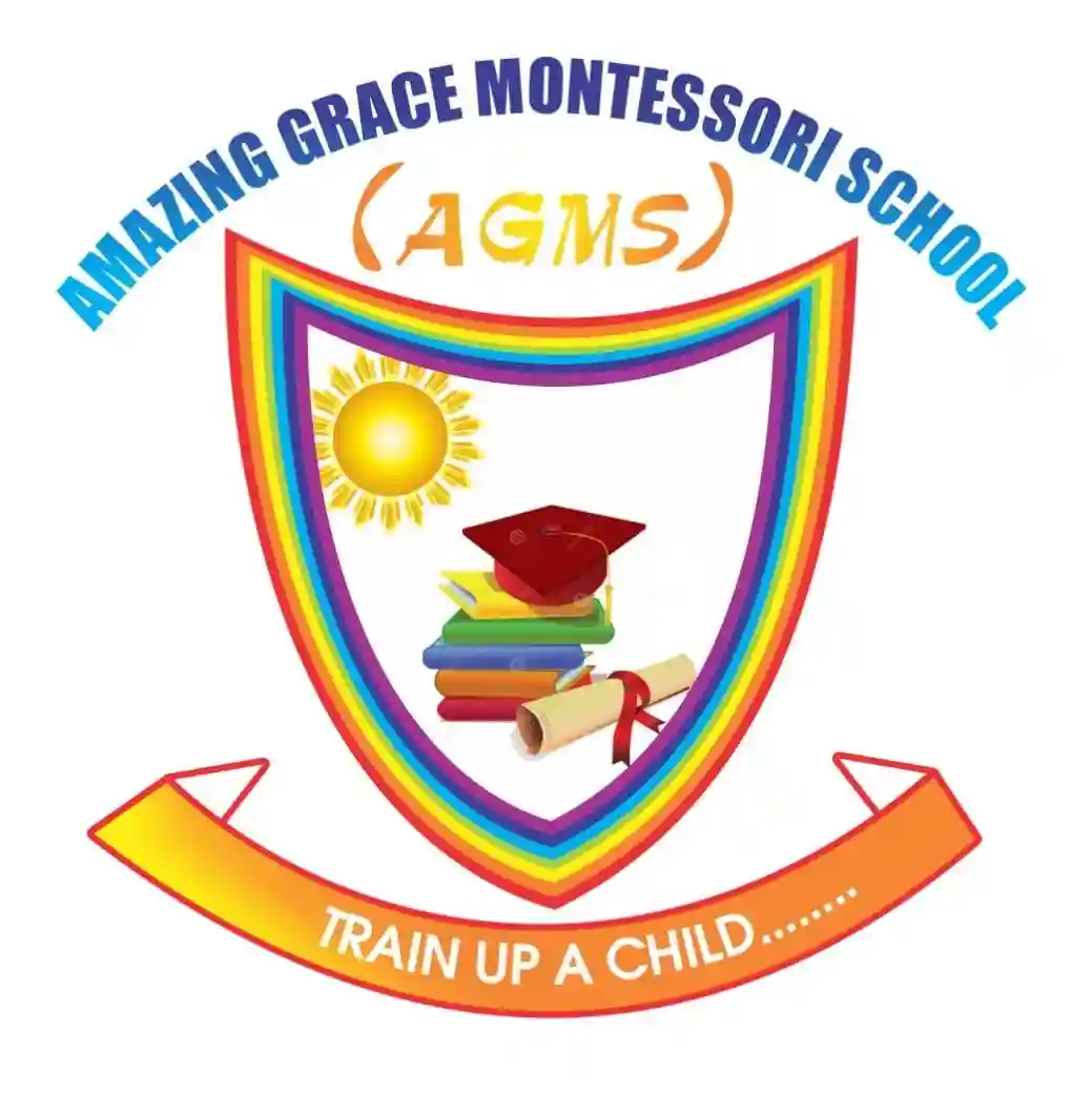 Amazing Grace Montessori School, Agona Swedru logo