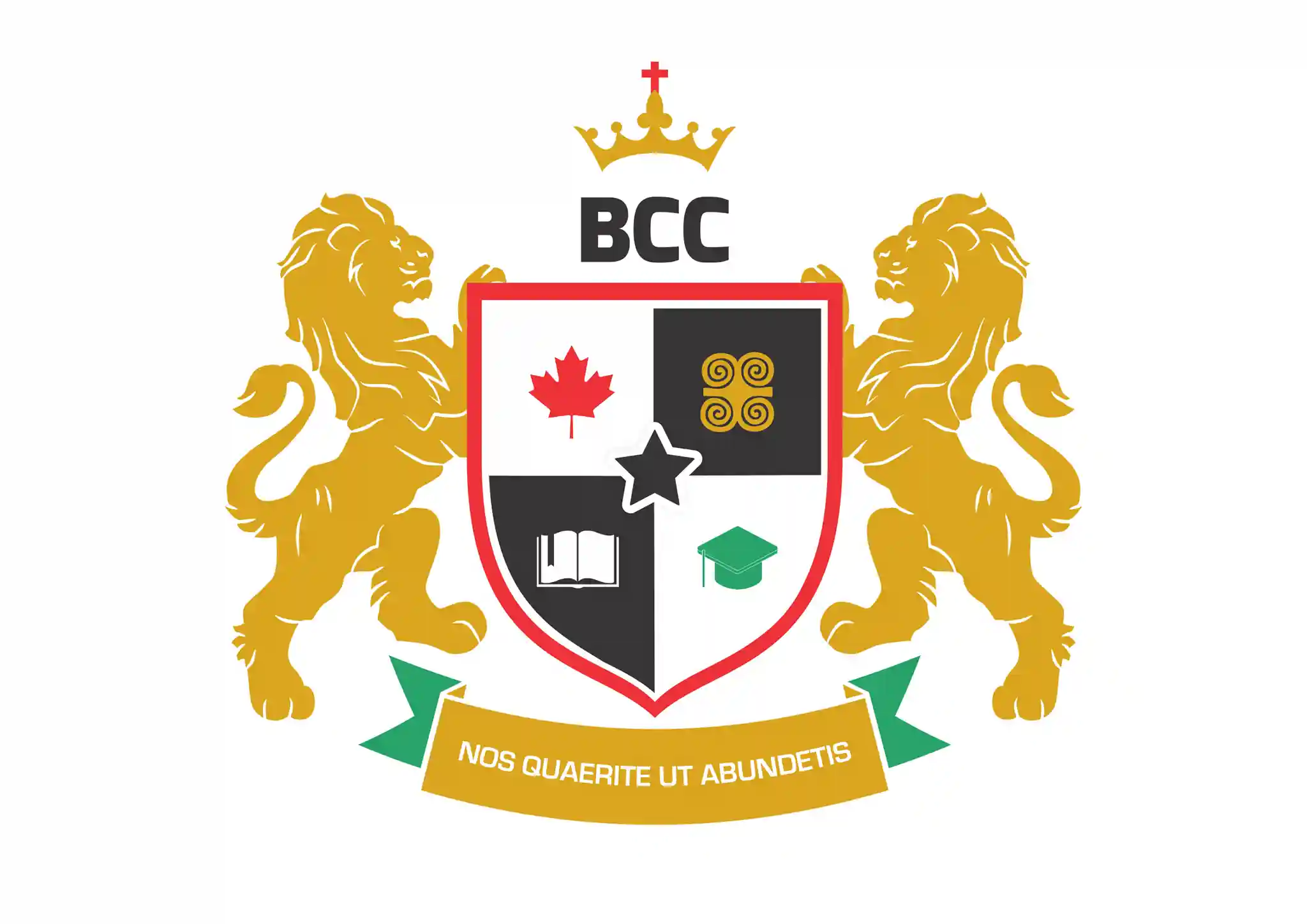 British Columbia College, Ghana logo