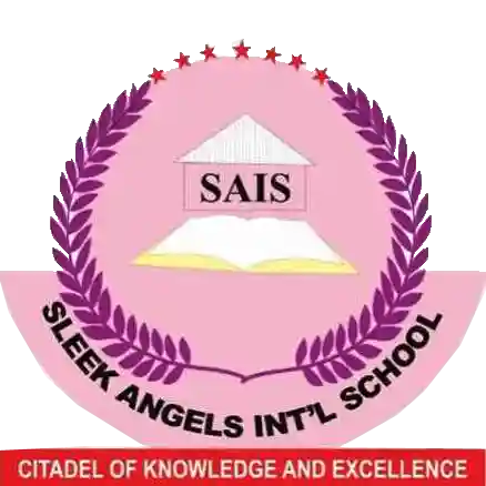 Sleek Angels International School (Creche) logo