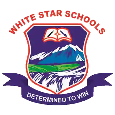Whitestar School logo