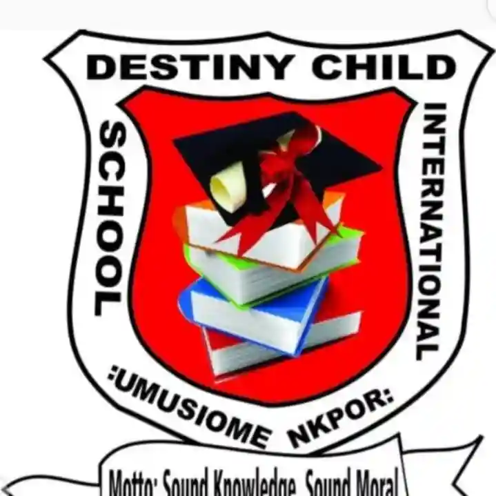 Destiny Child International School, Nkpor logo