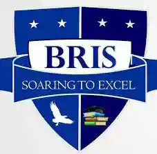 Blue Ridge International School logo