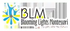 Blooming Lights Montessori Schools logo