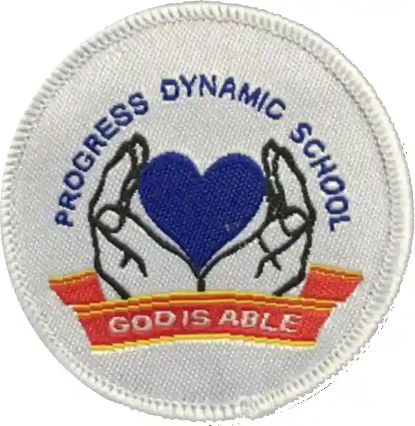 Progress Dynamic International Academy logo