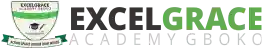 Excelgrace Academy logo