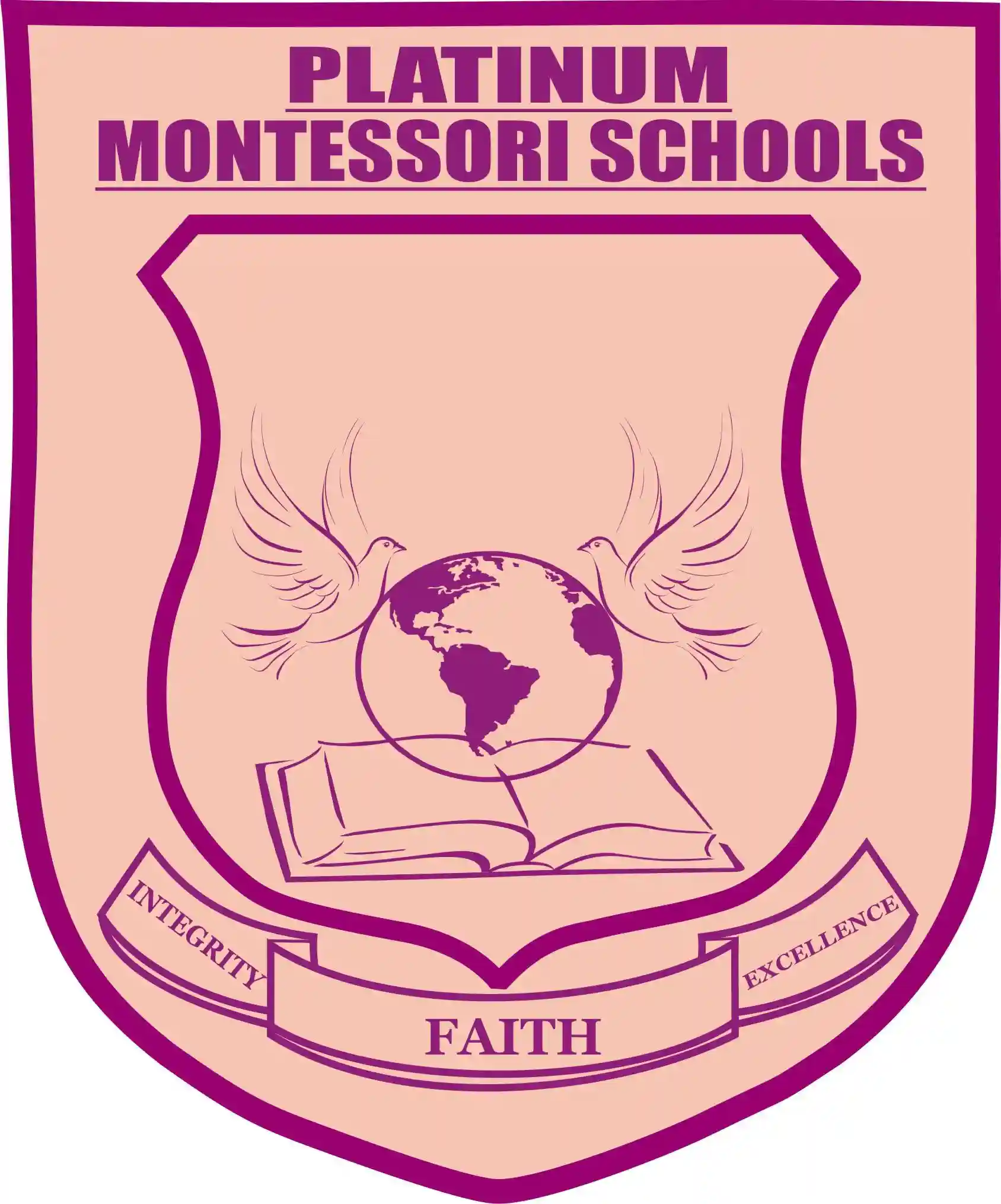 Platinum Montessori Schools, ghana logo