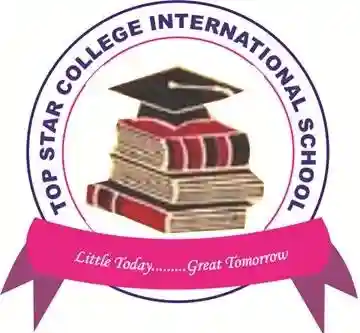 Top Star International Schools logo