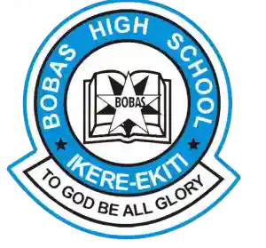 Bobas International Schools logo