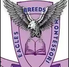 Eagle Breeds Montessori School logo