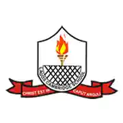 lagos cambridge school logo