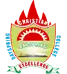 Dayspring Christian School International logo