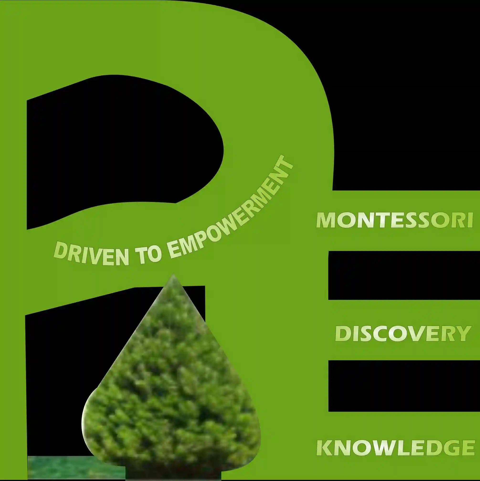 Phebs Evergreen Schools logo