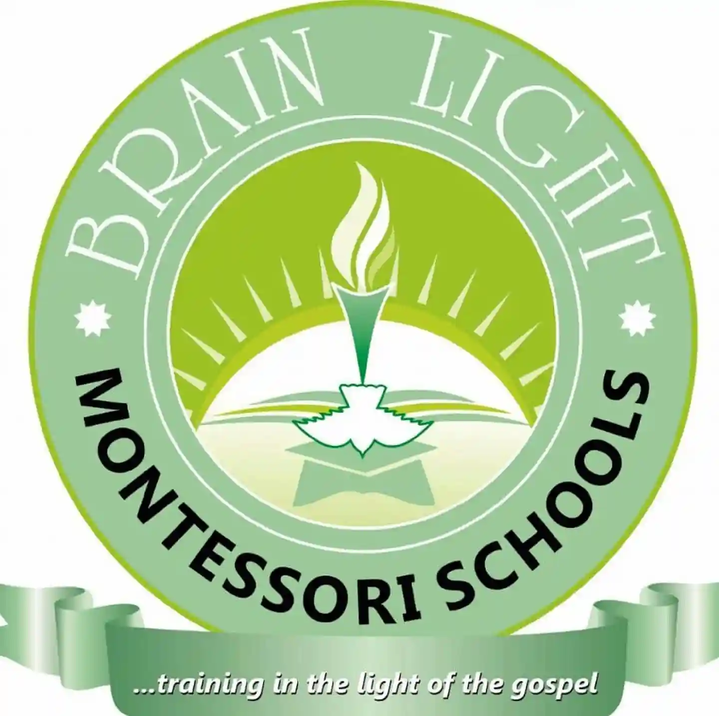 Brain Light Montessori School logo