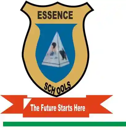 Essence Schools, Kano logo