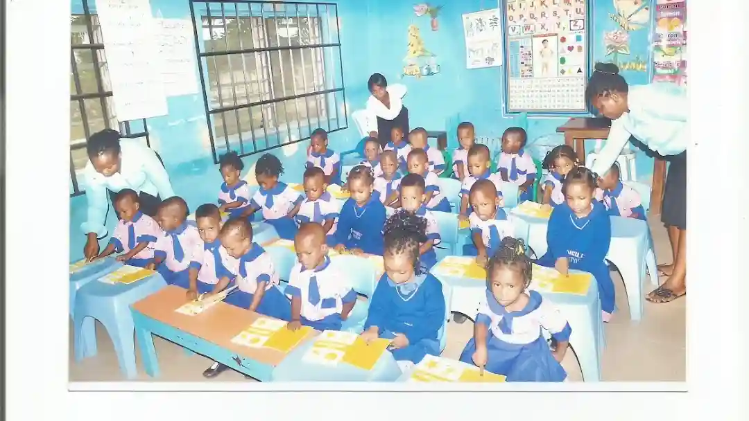 ANCILLA INTERNATIONAL NURSERY AND PRIMARY SCHOOL logo