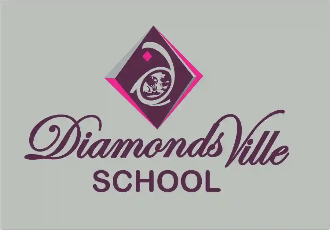 DiamondsVille School logo