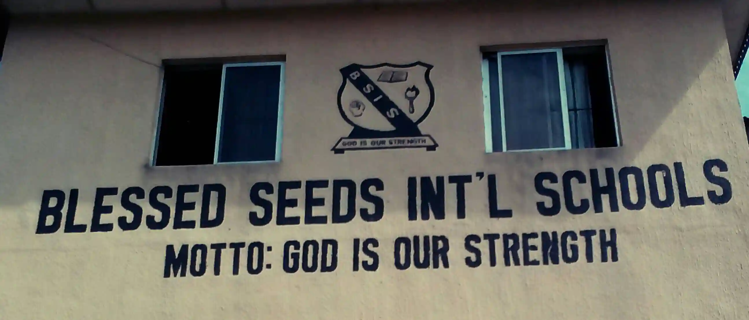 Blessed Seeds International Schools logo