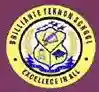 Brilliante Teknon School Ibadan logo