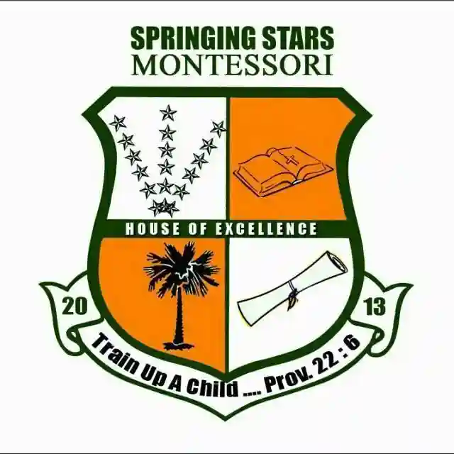 Springing Stars Montessori Preschool logo
