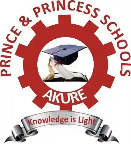 Prince & Princess Schools, Akure logo