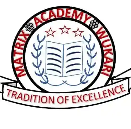 Matrix Academy Wukari logo