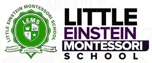 Little Einstein Montessori School logo