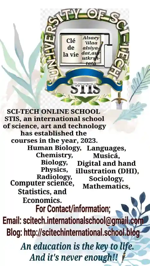 SCI-TECH INTERNATIONAL UNIVERSITY STIS logo