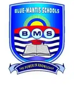Blue-Mantis School logo