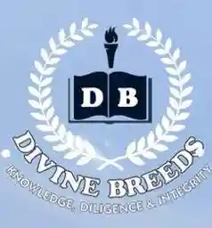Divine Breeds International Schools logo