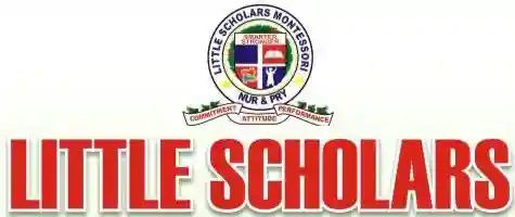 Little Scholars Montesorri Nursery and Primary School logo