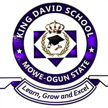 King David School logo