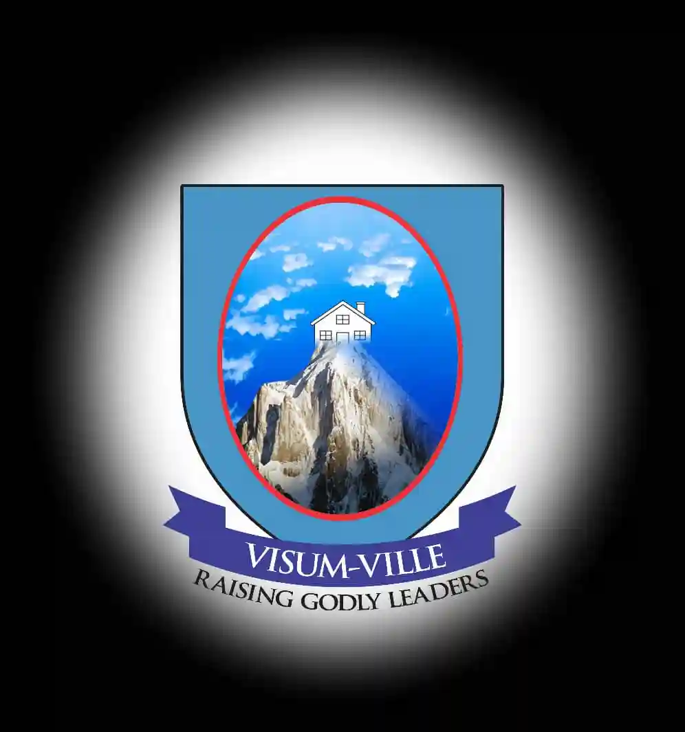 Visum-Ville International School logo