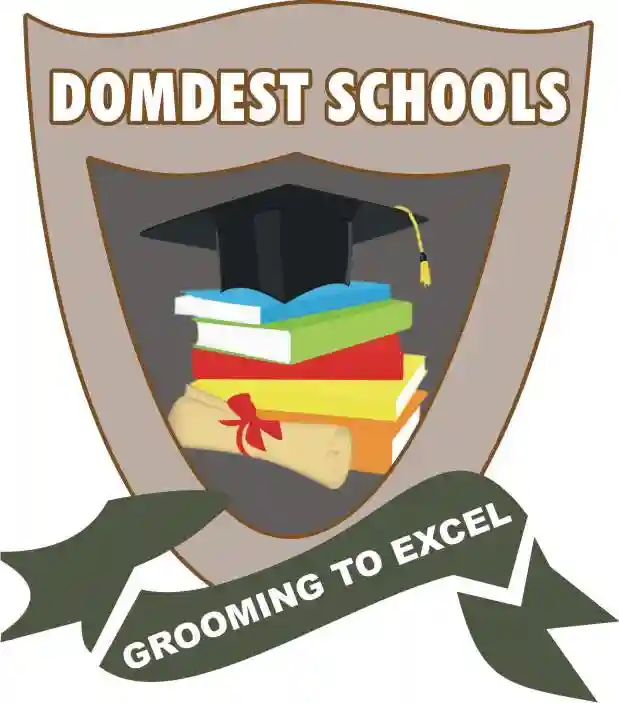 Domdest National Schools logo