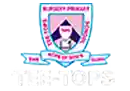 tee tops school, lagos. logo