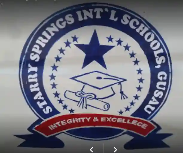 Starry Springs International School logo