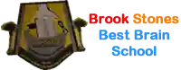 Brook Stones Best Brain International Schools logo