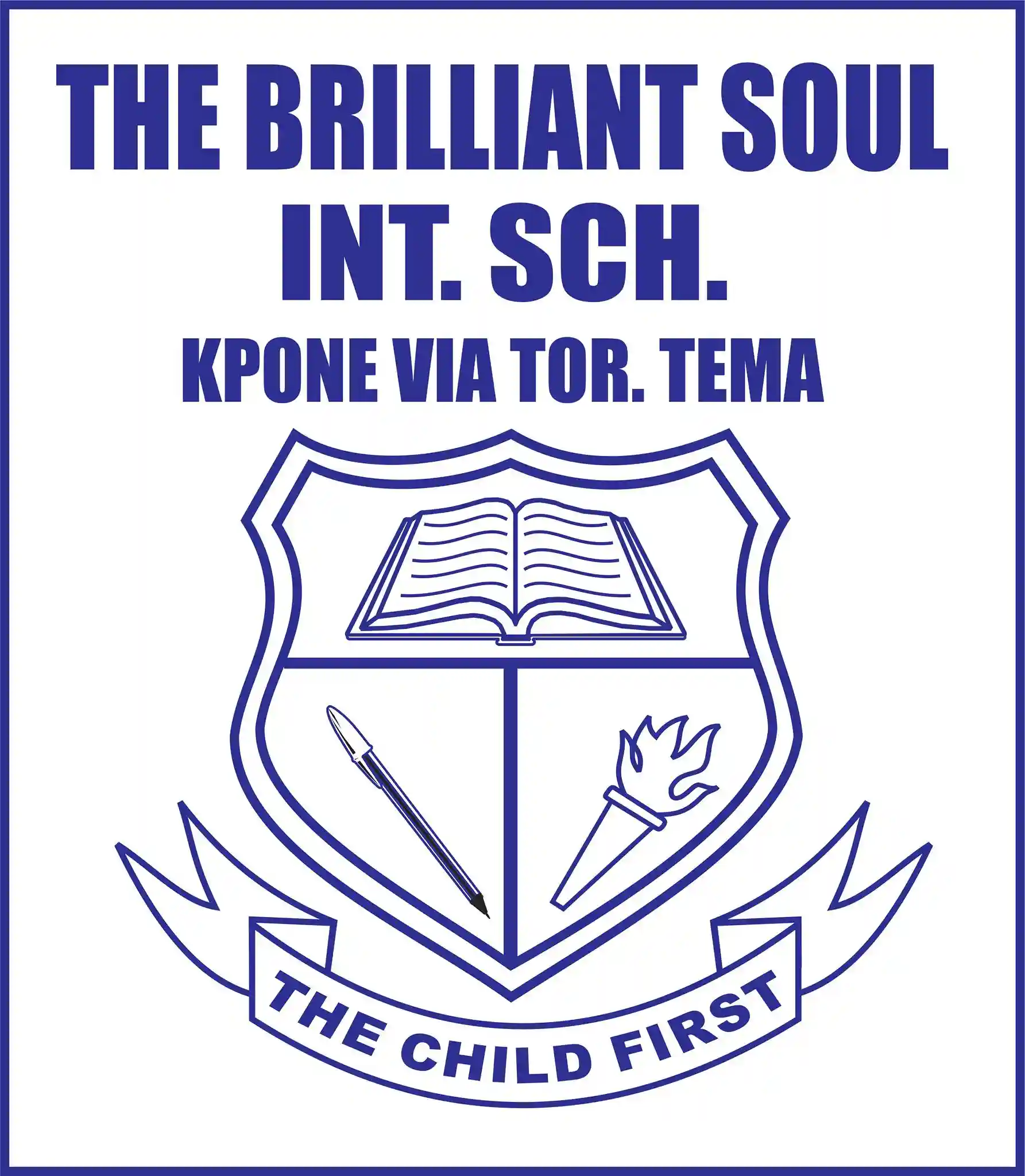 Brilliant souls international school logo